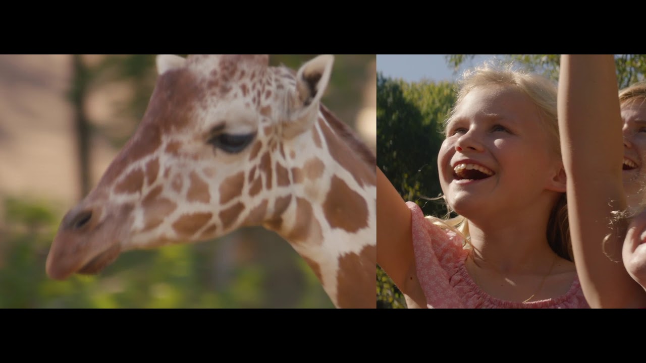 Zoo Atlanta 2020 African Savanna Commercial