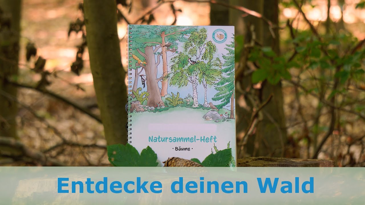 Natursammelheft Kitas Kinder lernen die Natur kennen