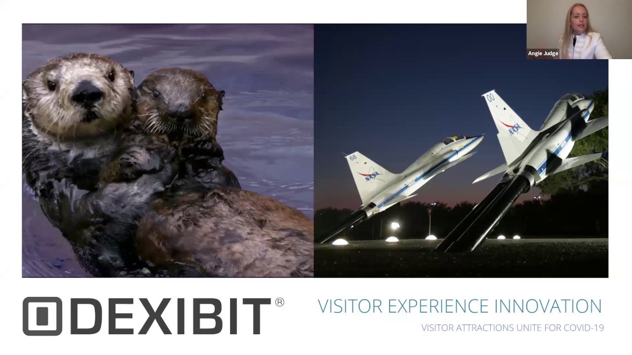 Webinar: Visitor experience innovation