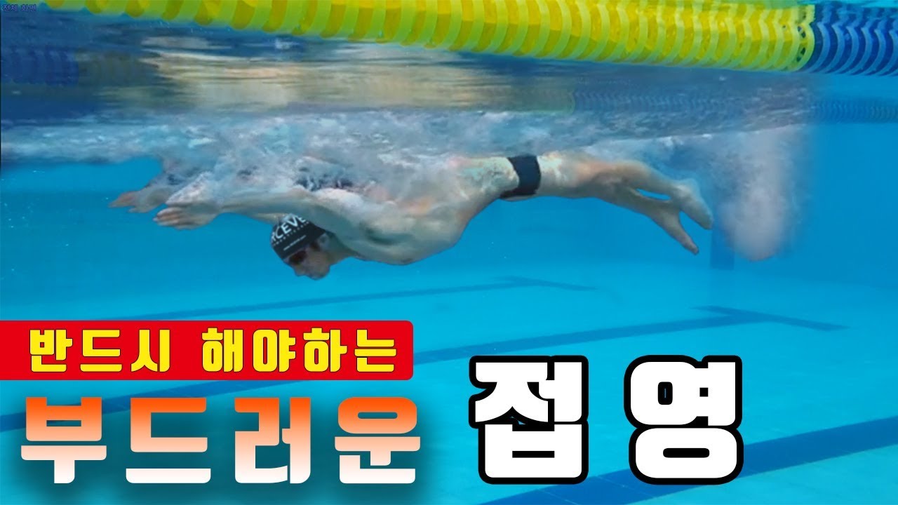 접영 안 힘들게 하는 방법 ㅣ 반드시 해야하는 부드러운 접영 l 접영 강좌