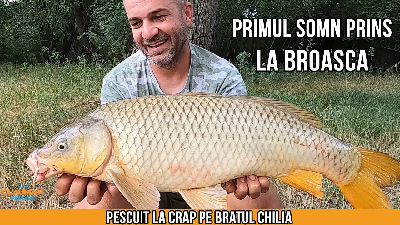 Delta de iulie pe bratul Chilia - GIVEAWAY 5 KITURI URGO FILMOGEL!