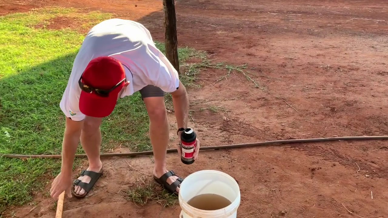 Tip of the Month on DIPPING CATTLE