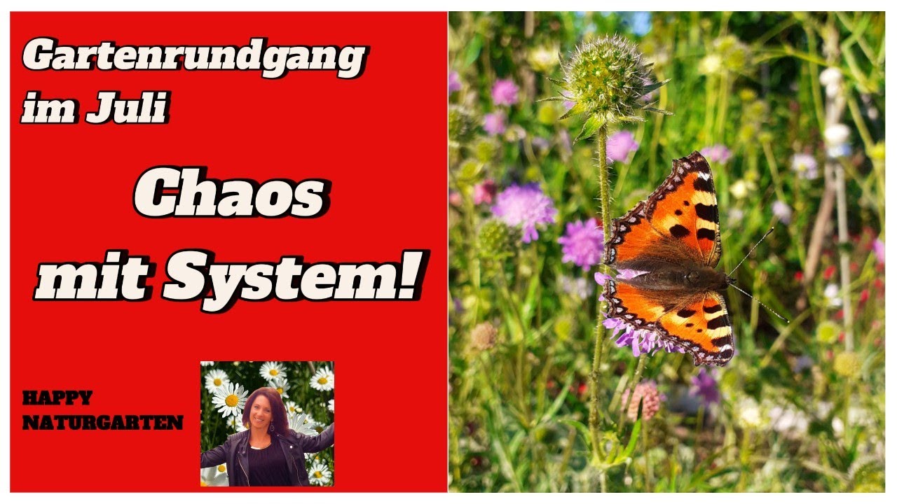 Naturgarten-Paradies live mit ungeplanter Begegnung!