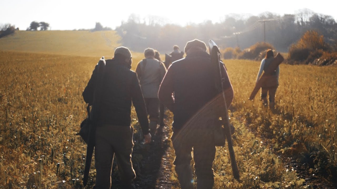 The Manydown Shoot