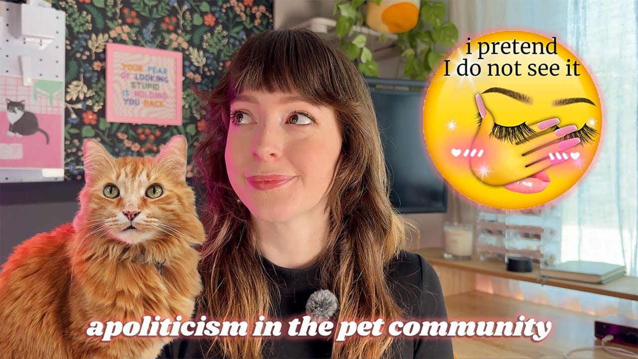 Apoliticism in the Pet Community: How Petfluencers Can Create Safer Spaces