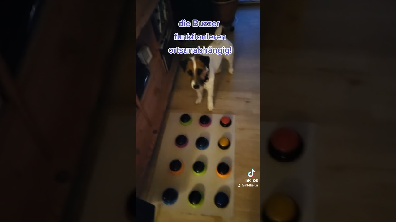 Hunger4words Haustierbuzzer - Piet lernt 