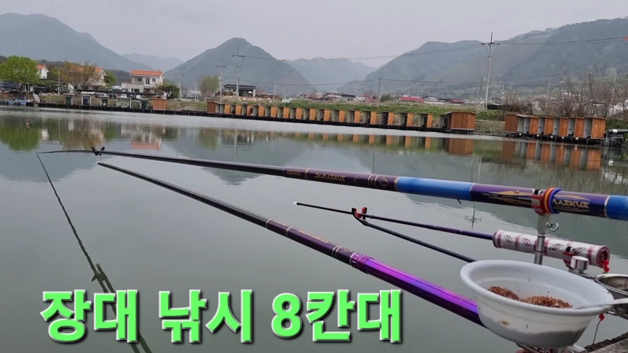 장대 낚시 8칸대 향어 낚시 챔질 소리 수제 장찌 정말 멋지네요