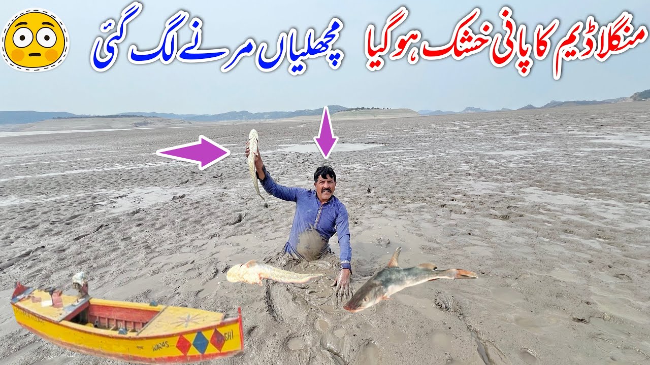 Mangla dam ka water hoshk ho gya | fish marna lag gy 😳
