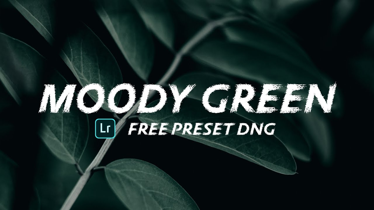 Moody Green Preset - Lightroom Mobile Free Preset DNG | Free Lightroom Mobile Preset #moodygreen #2