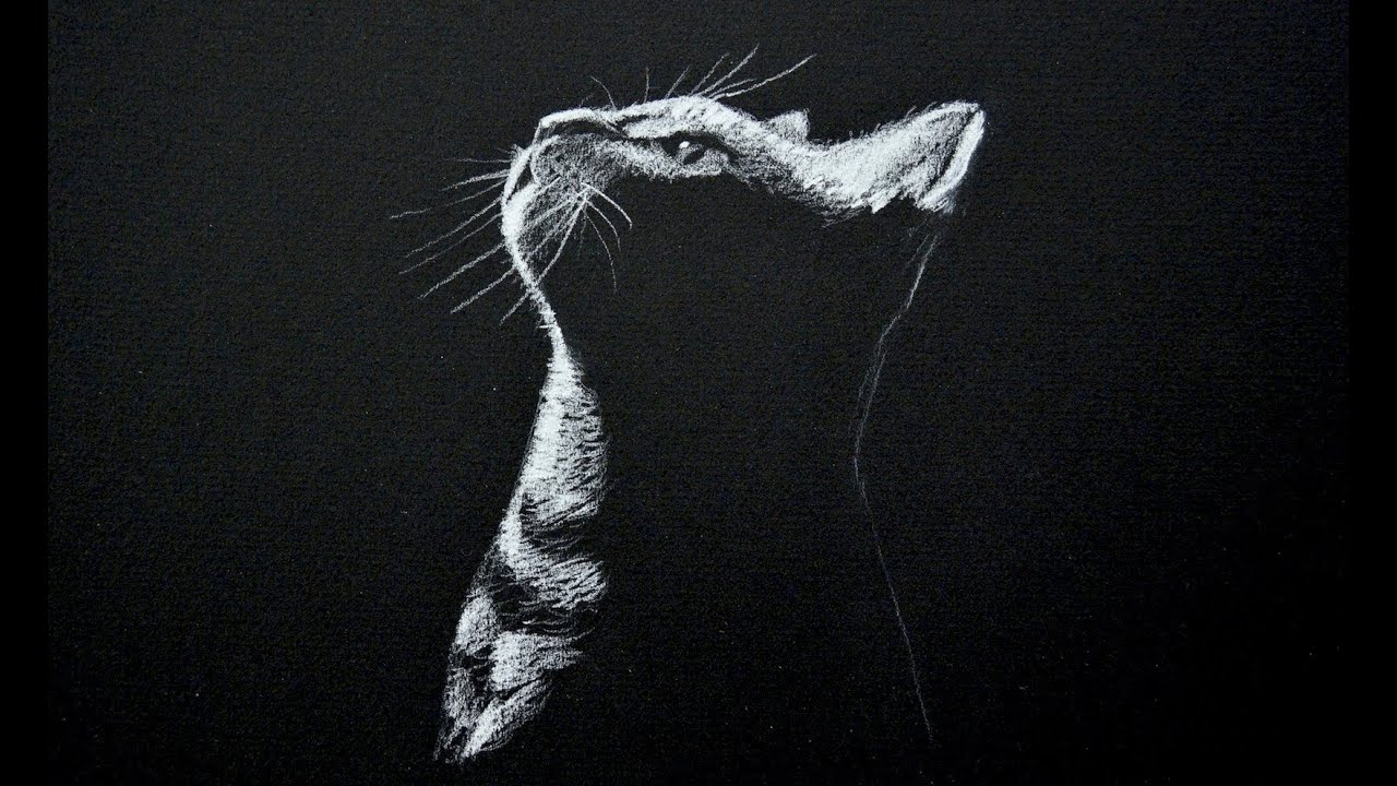 Drawing a Cat - White on Black Paper - Time Lapse
