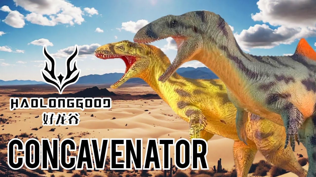 HAOLONGGOOD Concavenator (2025), DÓNDE COMPRARLO??,VALE LA PENA??