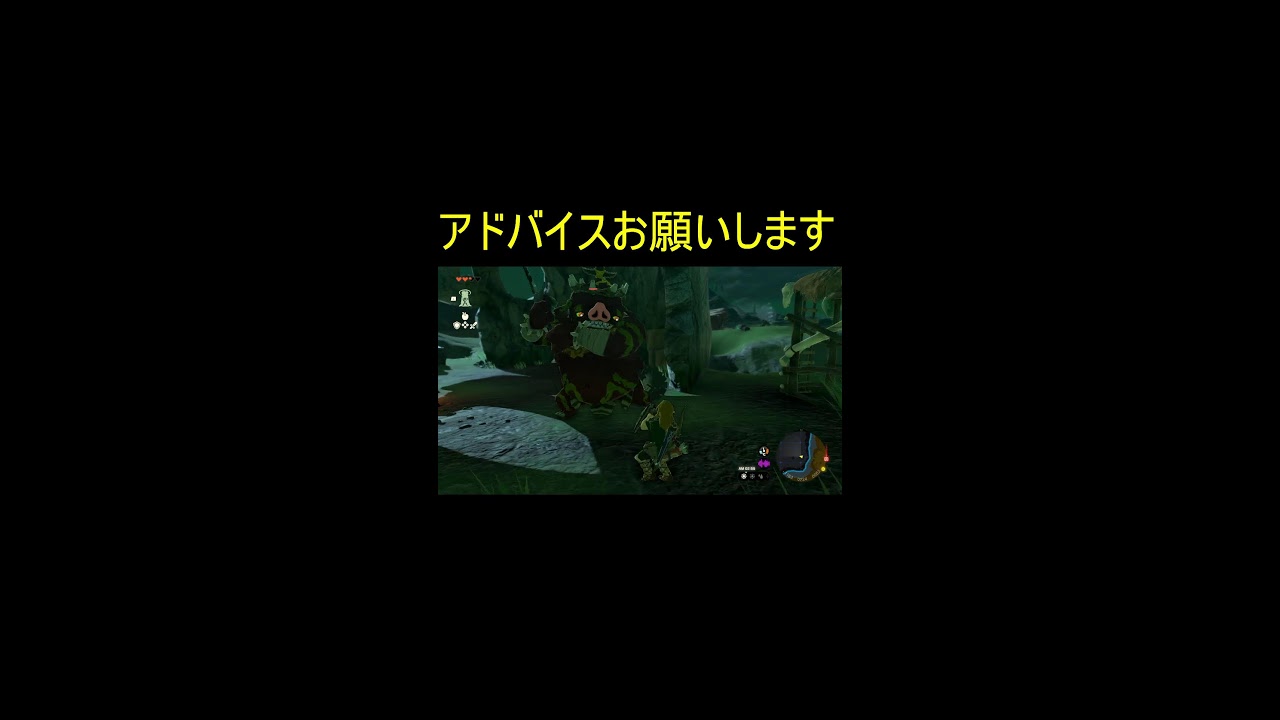 アドバイス求　ゼルダの伝説ティアーズオブザキングダム