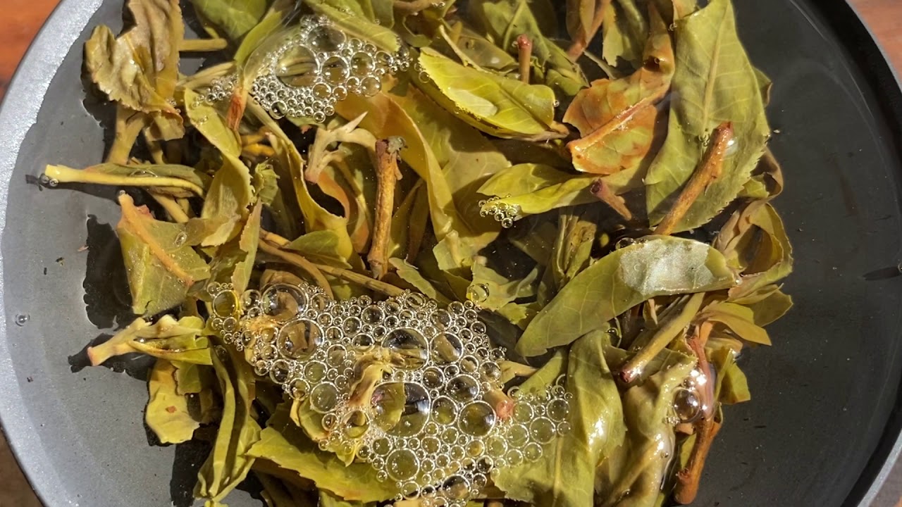 TEA REVIEW: Big Old A** Tree From BitterLeaf Teas