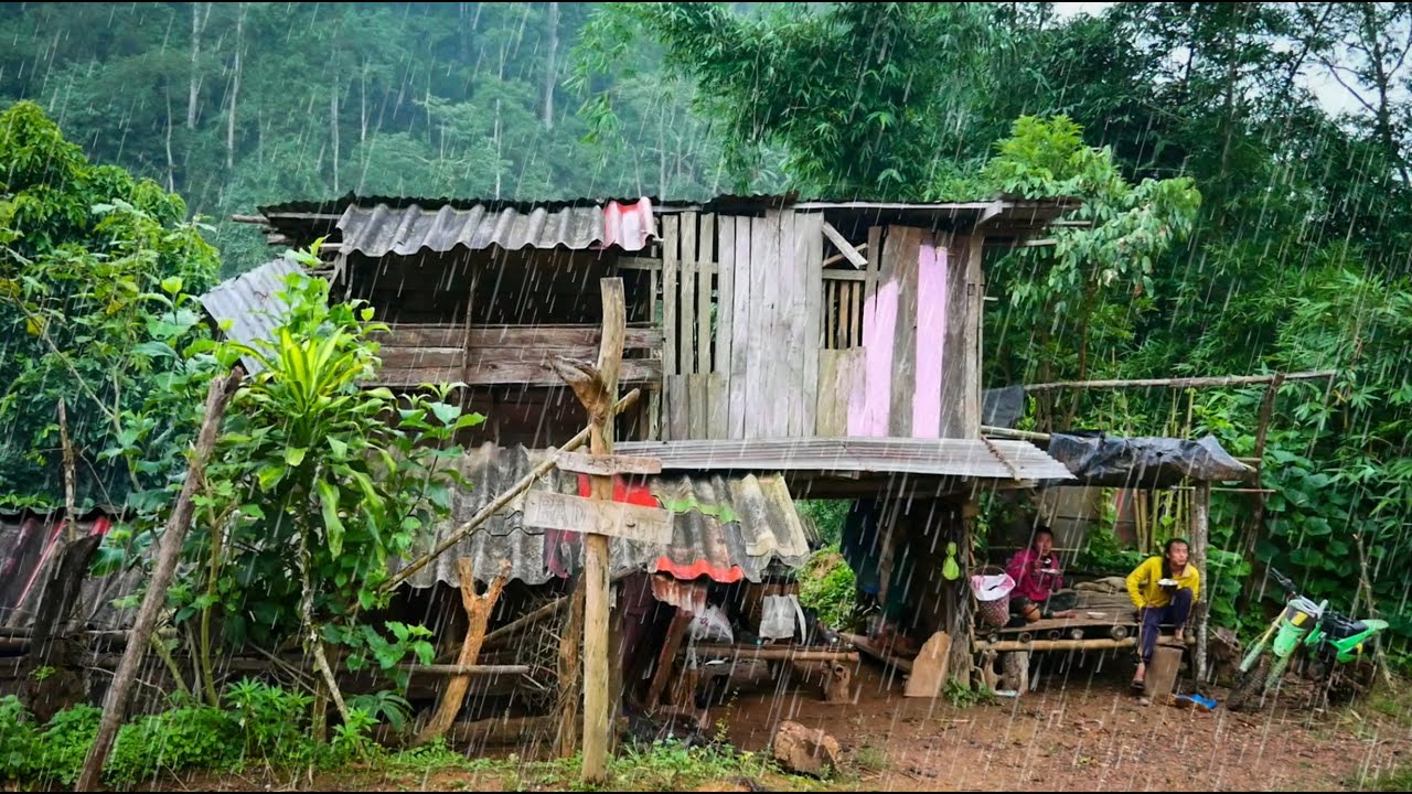 นอนกับจงที่บ้านอันโดดเดี่ยวกลางหุบเขา ฝนตกเย็นสบายชุ่มชื้น ป่ารอบๆรกทึบมาก [วรวิช]