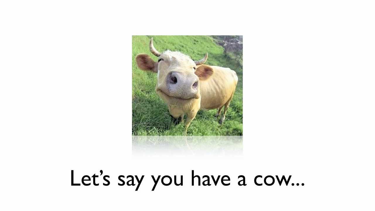 Idempotency in Cows and REST APIs