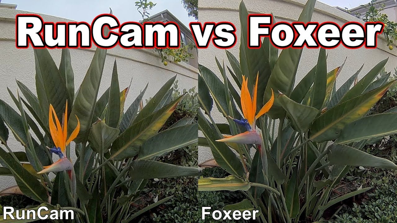 Foxeer Mix vs RunCam Split Mini // SBS Comparison 📷