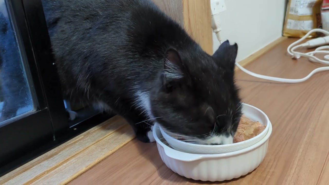 家に侵入した犯人は悪びれもせずごはんを食べました