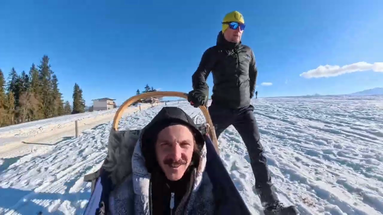 Dogs sledding in Poland by insta360 x5