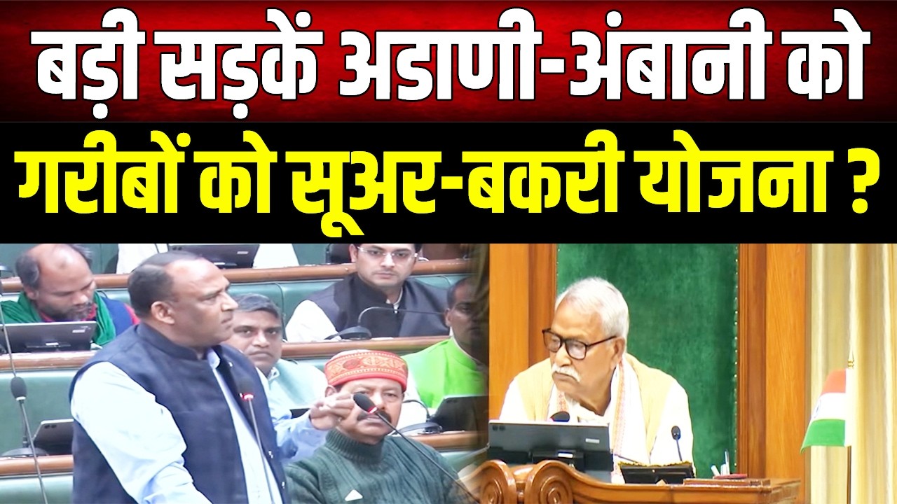 10-10 हजार रुपए लेकर सूअर नहीं पालूंगा, RJD MLA ने सदन में मुख्यमंत्री की योजना पर उठाए सवाल
