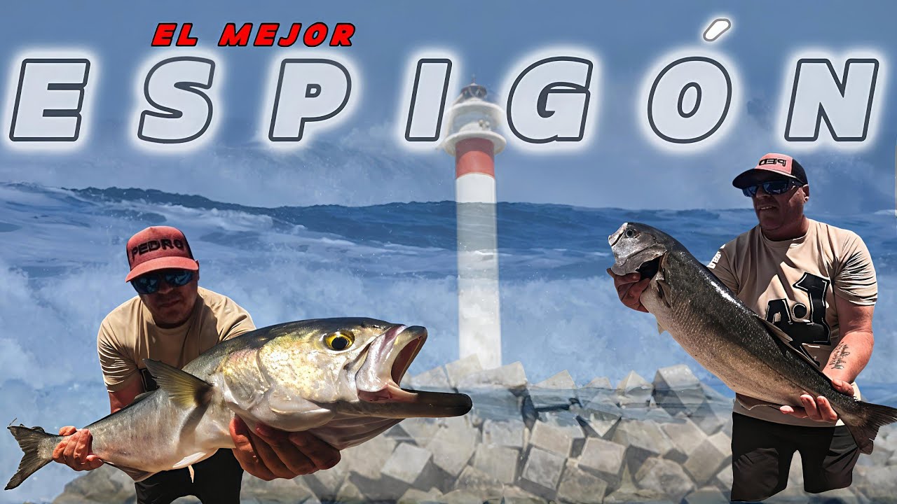 Pescamos en el ESPIGÓN DE HUELVA  / vaya 🚀🚀 TORPEDO [ Anjova XXL en Superficie ]