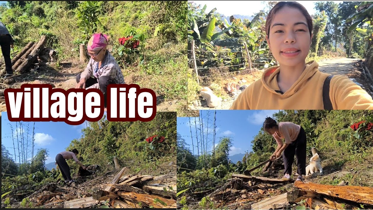 Village life!! Arunachal pradesh !! #northeastindia #dailyvlog 