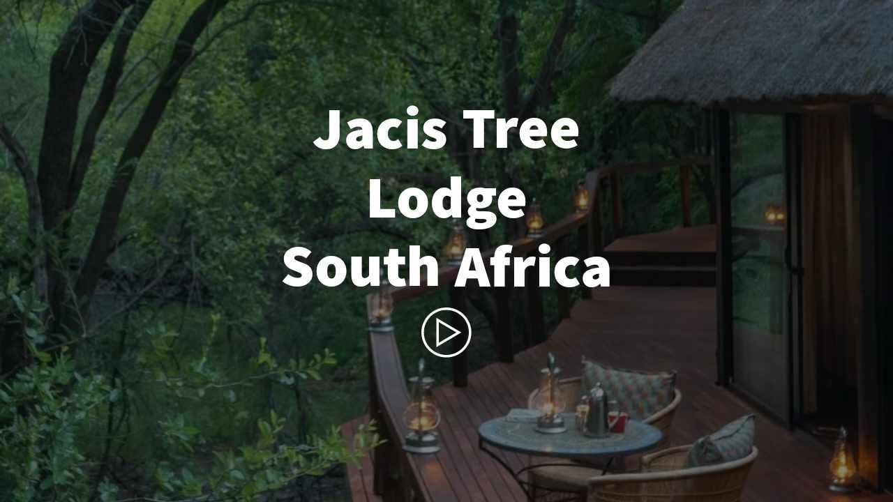 Jacis Tree Lodge, South Africa Safari Lodge