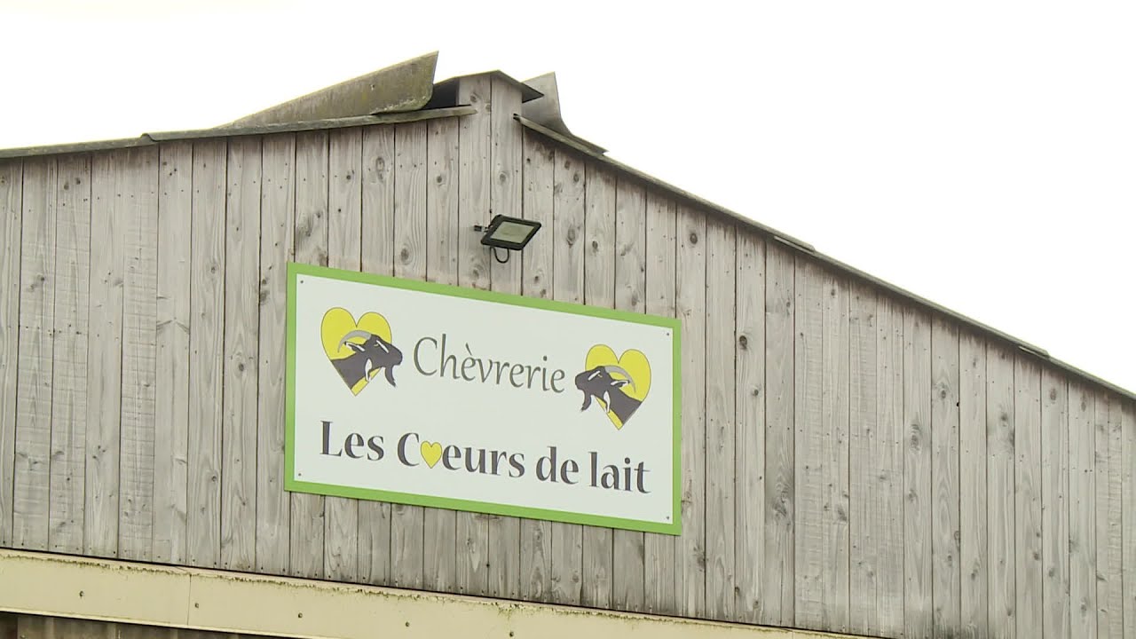Portrait : ils fabriquent des savons au lait de ch&egrave;vre