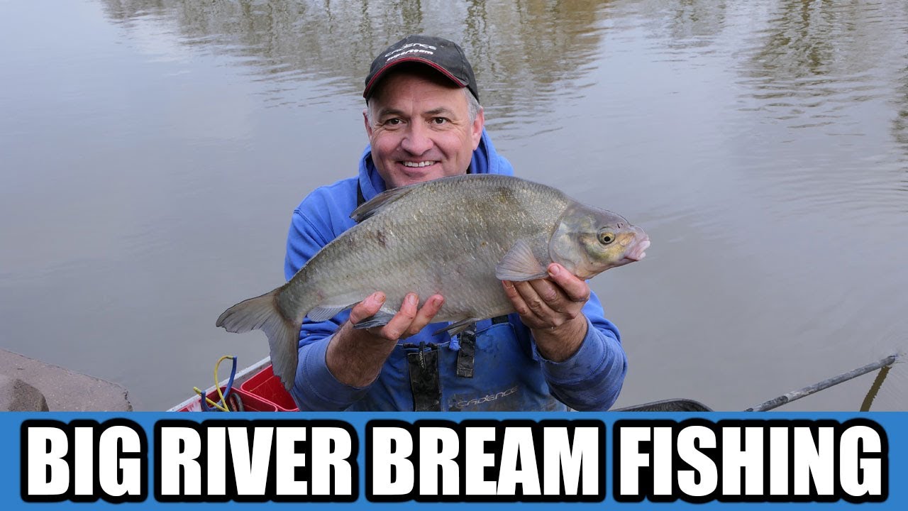 Big River Bream On The Bolo