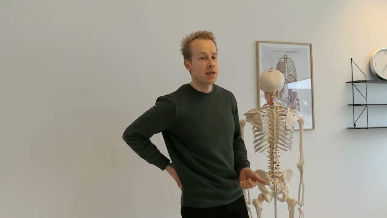 Sacroiliaca leddene - SI leddene - Bækkenleddet - Bækkenløsning - Bækkensmerter - Aarhus Osteopati