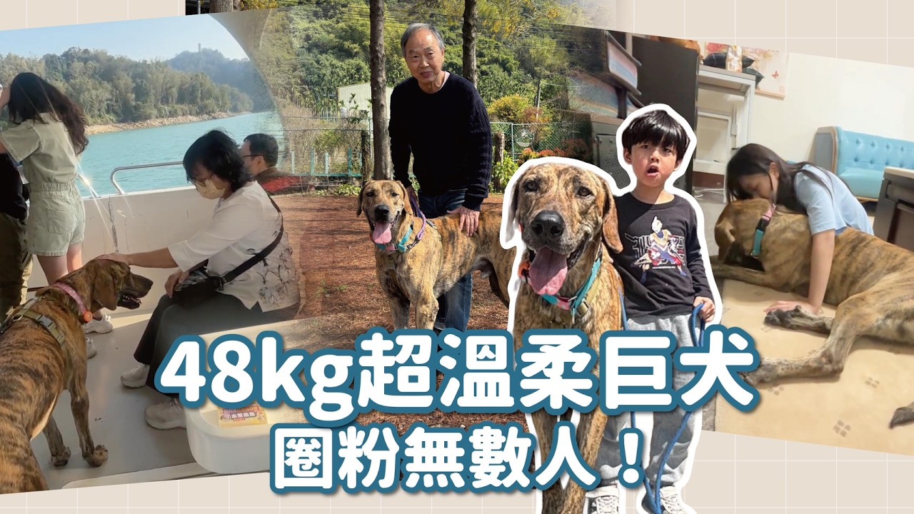 5歲的48kg巨型毛孩第一次出去玩，遊湖搭船、逛夜市！整趟狂圈粉！｜明日回家之星