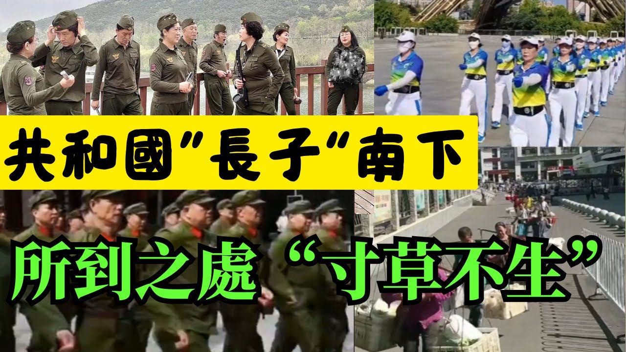 共和國“長子”南下過冬！雁過拔毛 寸草不生
