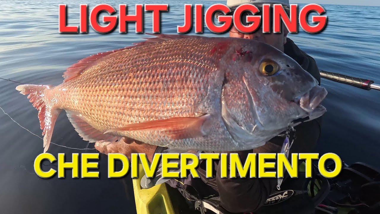 LIGHT JIGGING-  Un bel PAGRO e una CERNIA ALESSANDRINA
