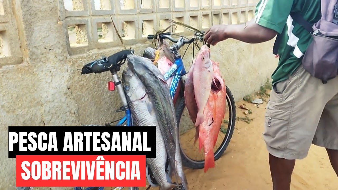 Hoje fui a pesca! PESCA PARA SOBREVIVÊNCIA 