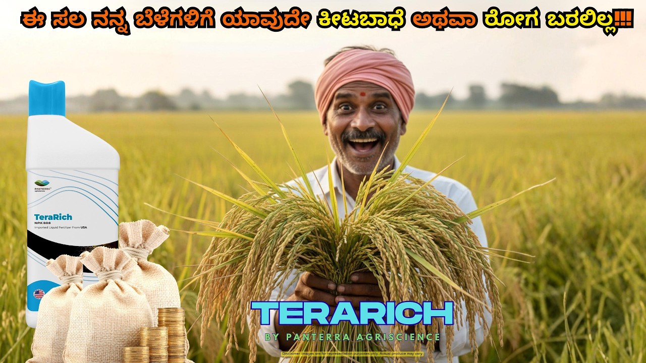 Zero Diseases, Maximum Yield - The Terrarich Transformation