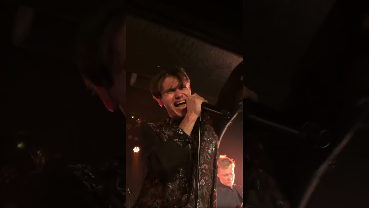 Shorthairs - Муж начальницы (Prague, 8.11.2025)