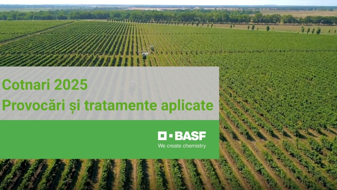 Ce faci când vin 100 l/mp în mai?