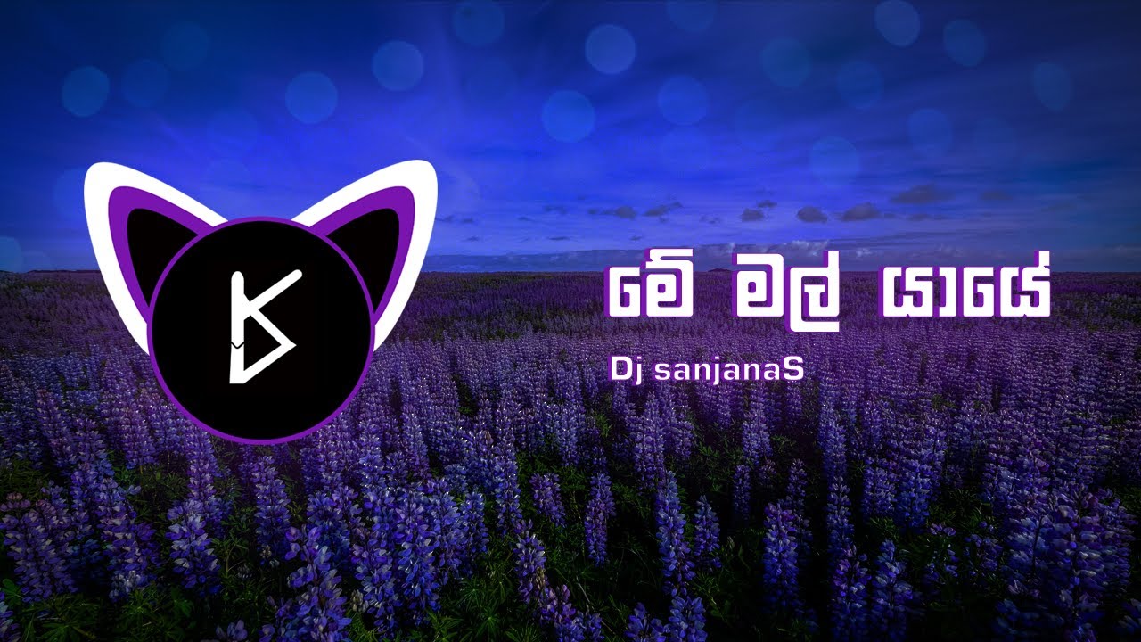 Me Mal Yaye EDM Remix (මේ මල් යායේ) Dj sanjanaS | Visualizer By King Viz