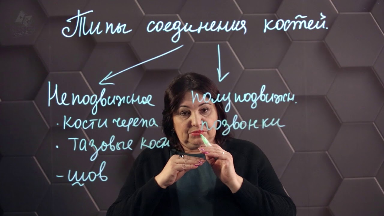 Типы соединения костей. 8 класс.