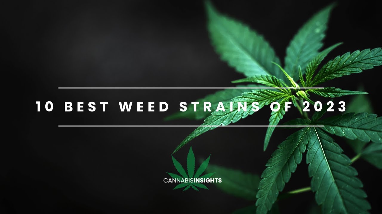 Top 10 WEED Strains of 2023
