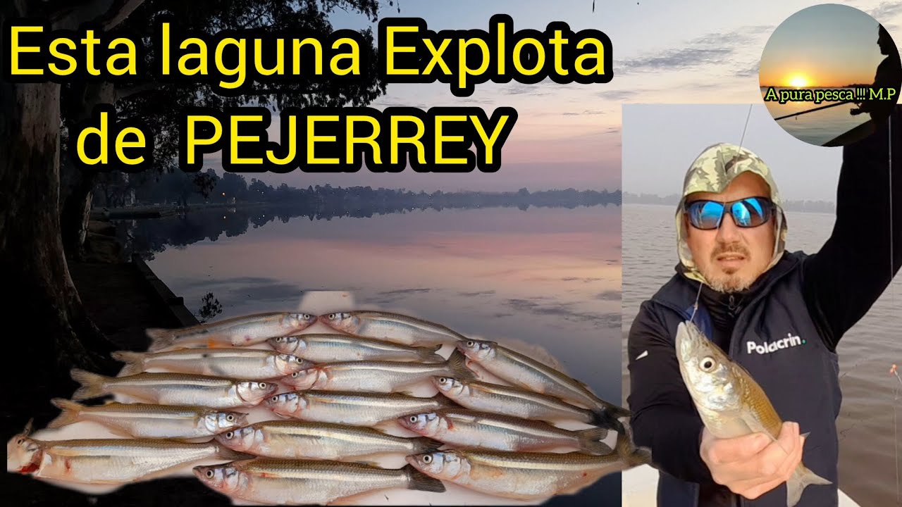 Si Queres pescar mucho pejerrey tenes que venir  a esta laguna#pesca de pejerrey 2025