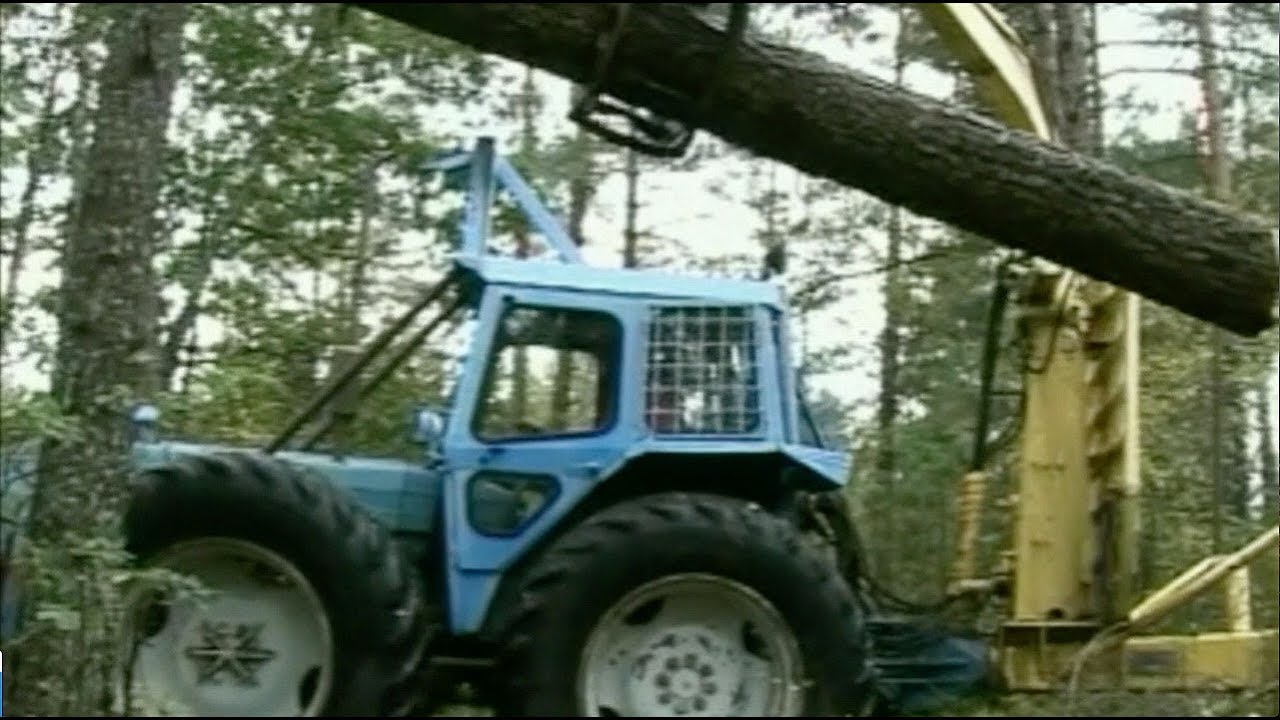 Skogs-County!/This is a County in the Forest!