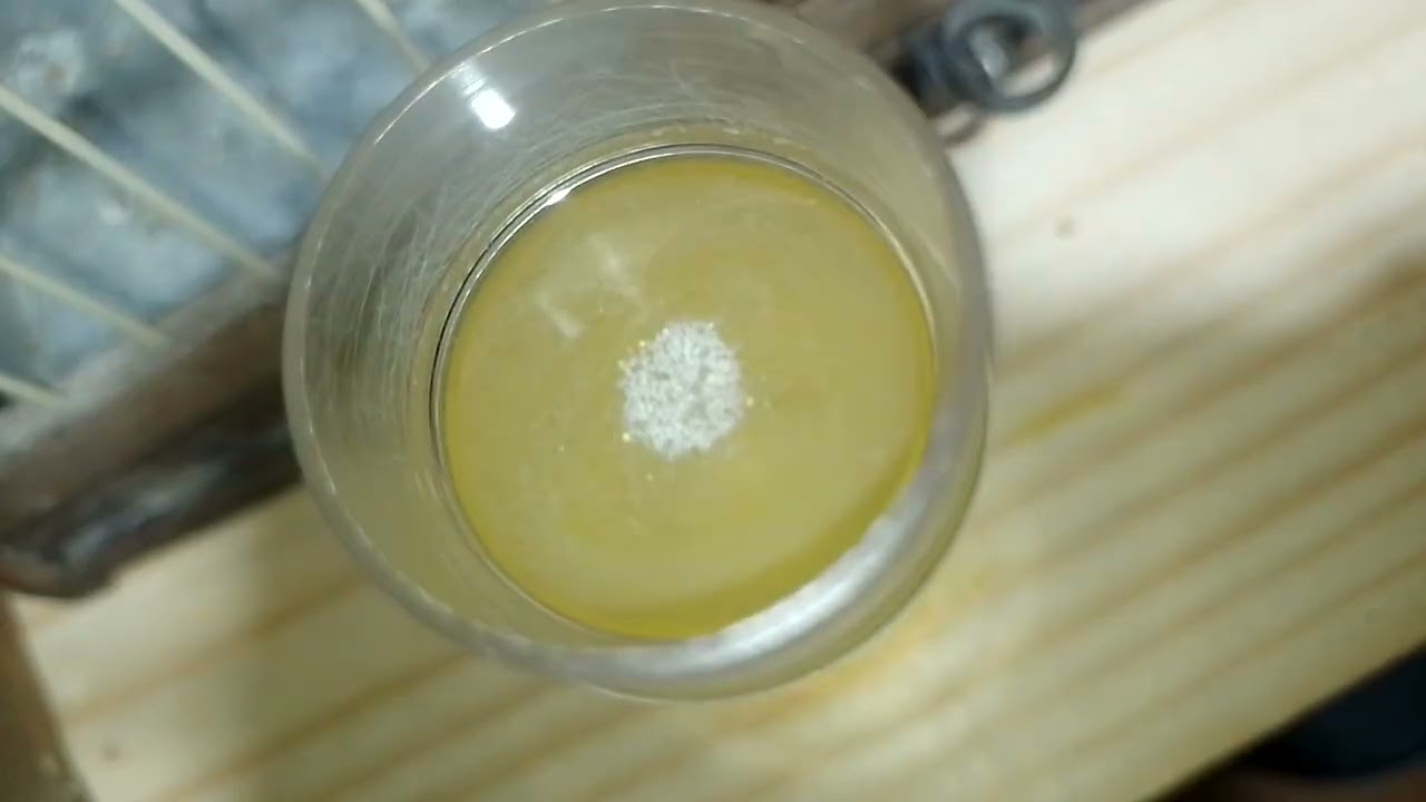 Tratamento com Femia de Timbrado CocciDex Amarela OZZY 28/11/25