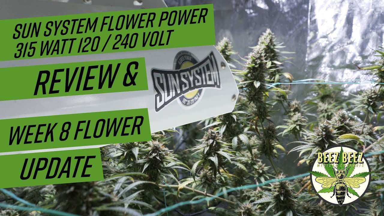 Sun System Flower Power 315 Watt 120 / 240 Volt Review
