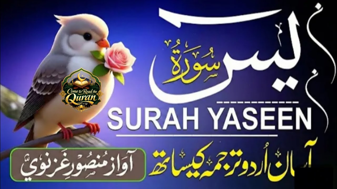 Surah Yaseen Full Recitation with Urdu Translation | Heart-Touching & Soul-Soothing Tilawat