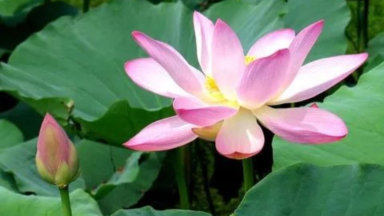 做保安的诡异经历，真的很多事无法解释