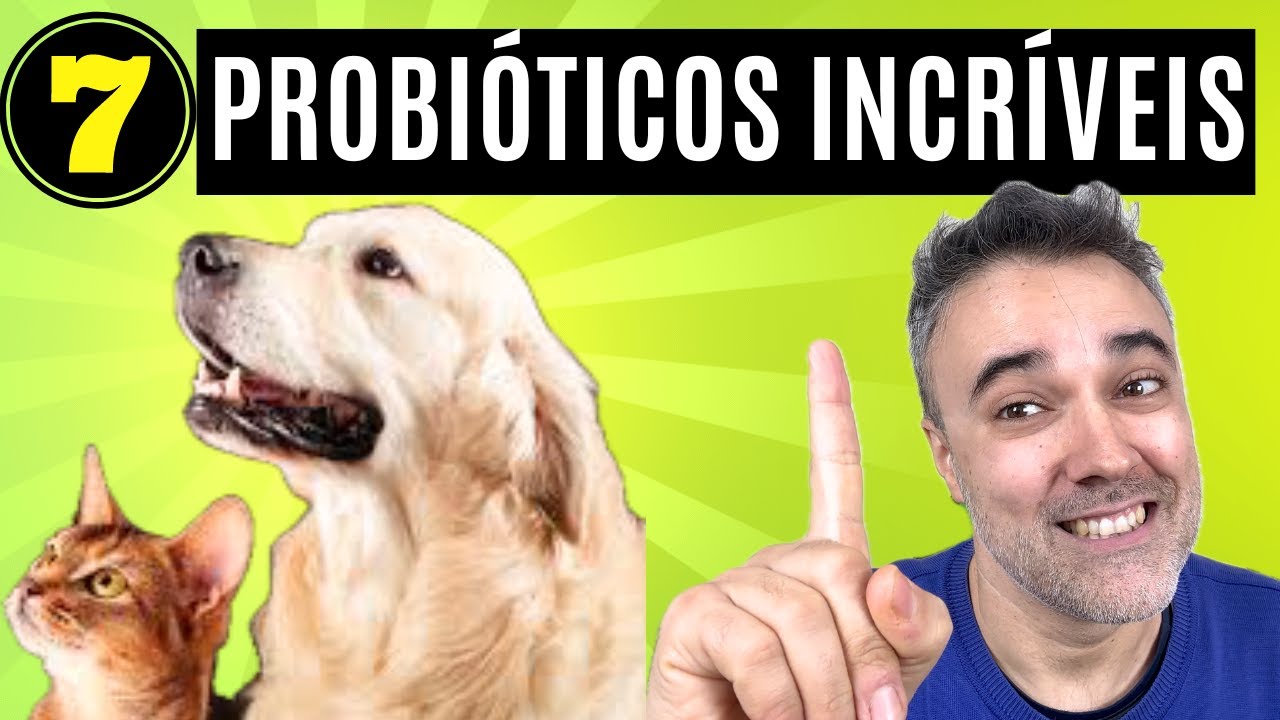 7 PROBIÓTICOS INCRÍVEIS ✅ Os Melhores para Seu Cão e Gato!!