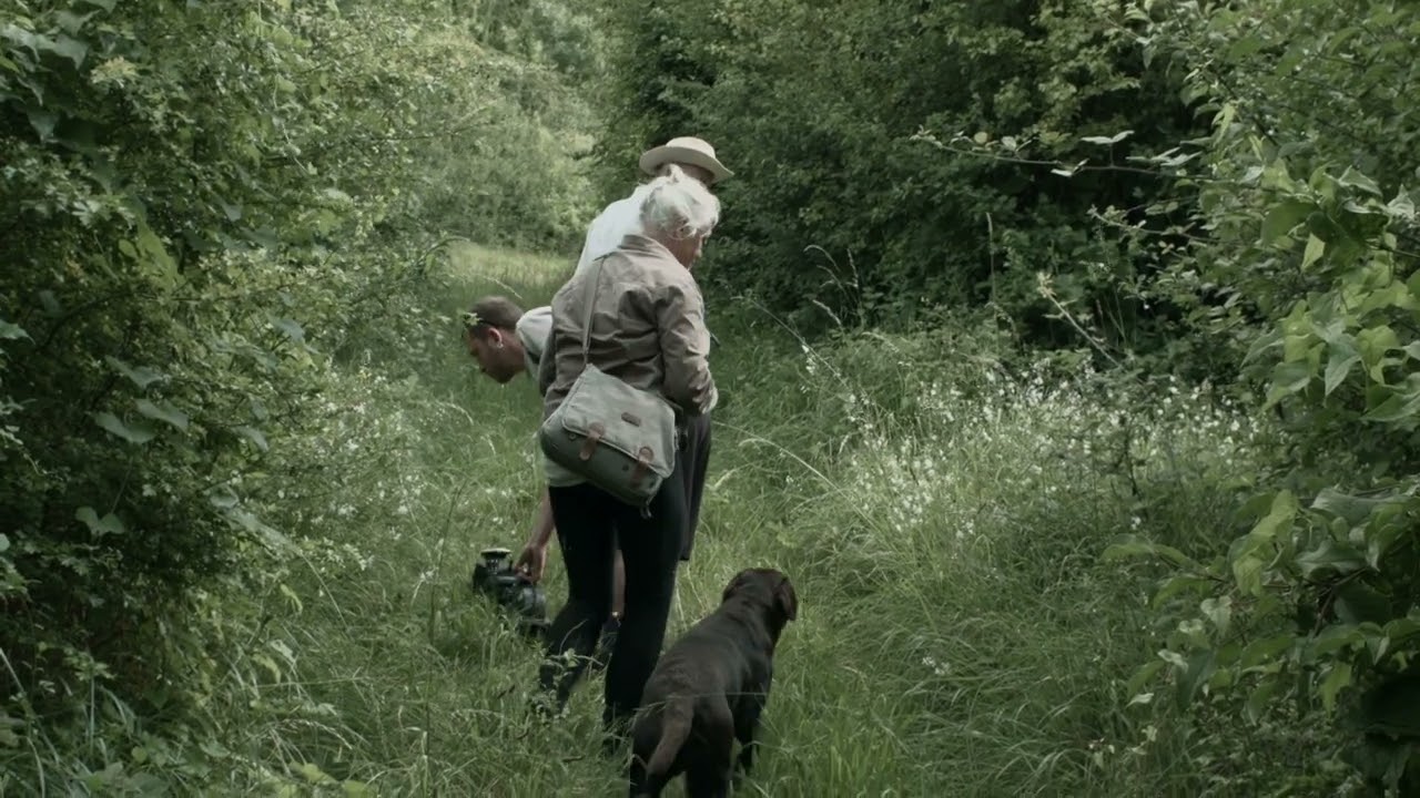 22º Doclisboa | Riscos | 7 Walks With Mark Brown | Pierre Creton & Vincent Barré