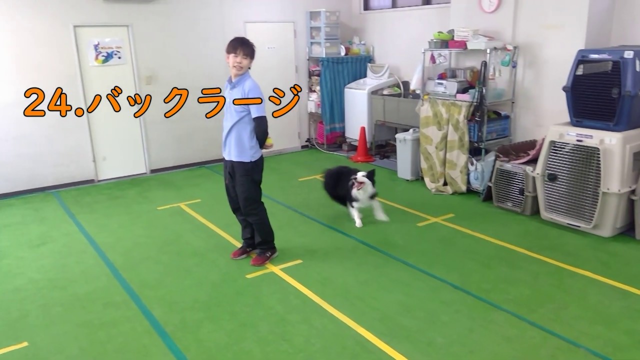 トリック集