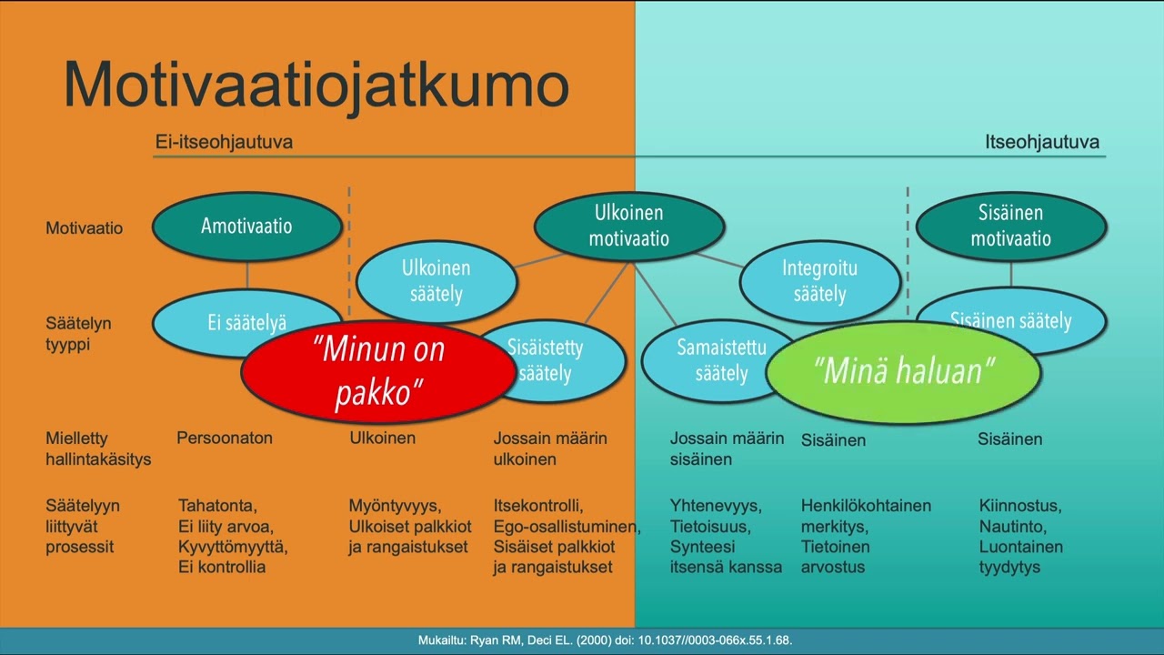 Ulkoinen ja sisäinen motivaatio – Miten motivaatiojatkumo toimii?