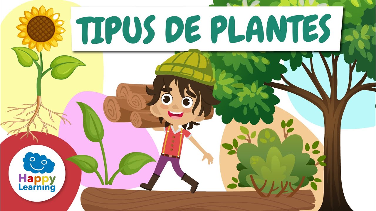 🌱🌸 TIPUS DE PLANTES: Quantes en Coneixes? | Vídeos educatius per a nens | @HappyLearningCAT
